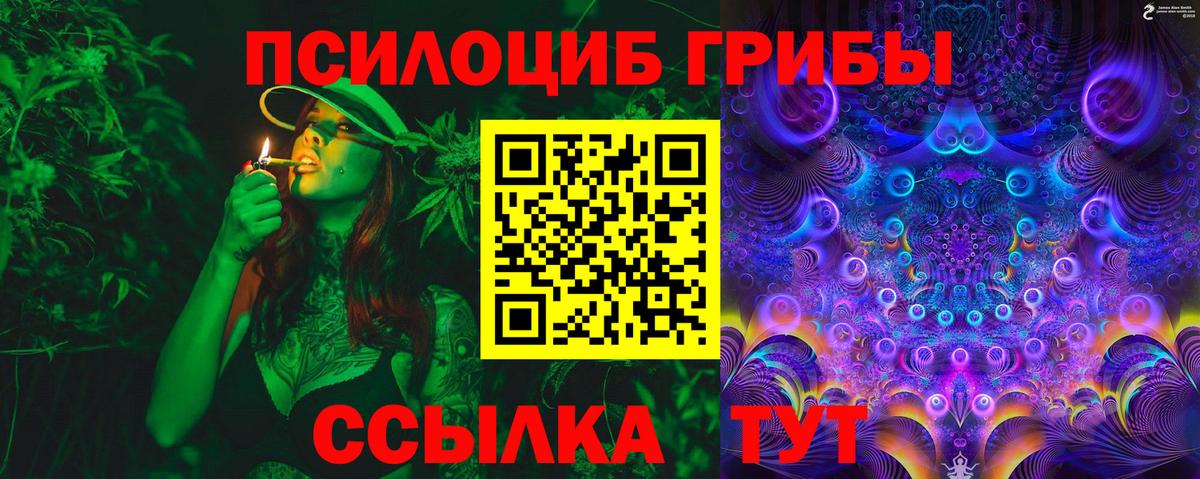 Галлюциногенные грибы Psilocybine cubensis Красноуфимск